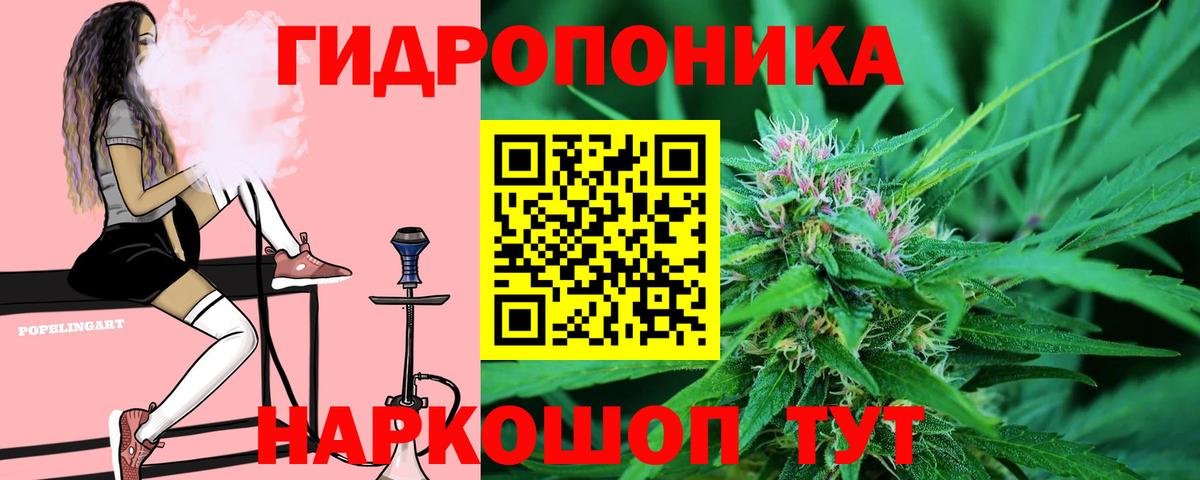 Бошки марихуана ГИДРОПОН Щёлково